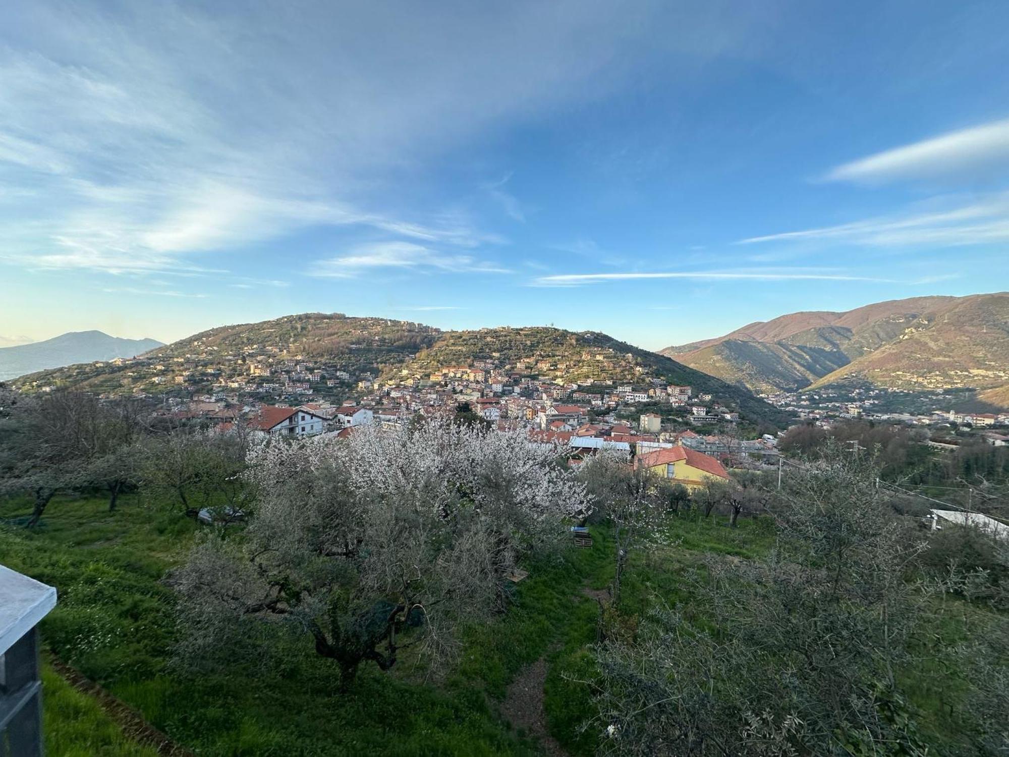 Bed And Breakfast Il Ceppo Wild Pimonte Zewnętrze zdjęcie